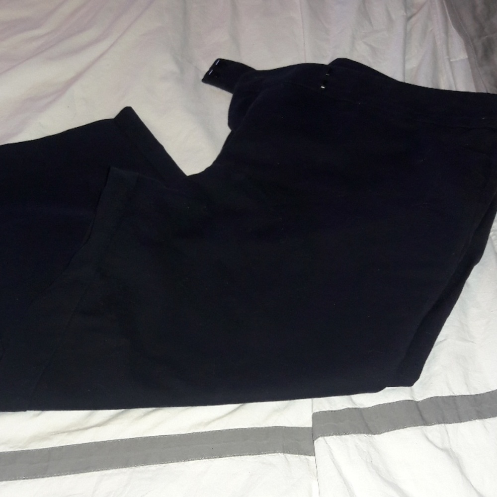 Ann Taylor crop pants